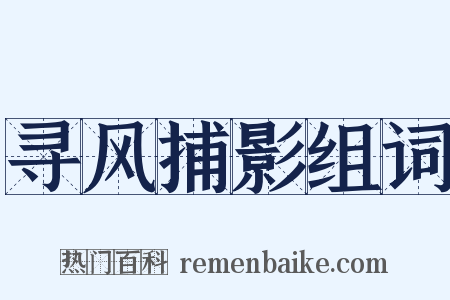 寻风捕影组词是什么意思的图片